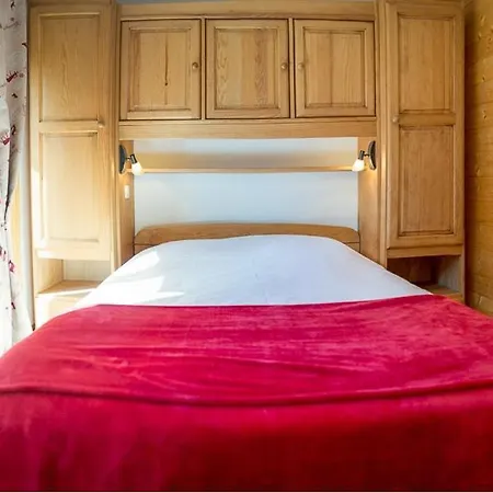 Les Pins - Apt 11 - Chatel - Bo Immobilier - Reduced Prices On Ski Passes Chatel & Portes Du Soleil